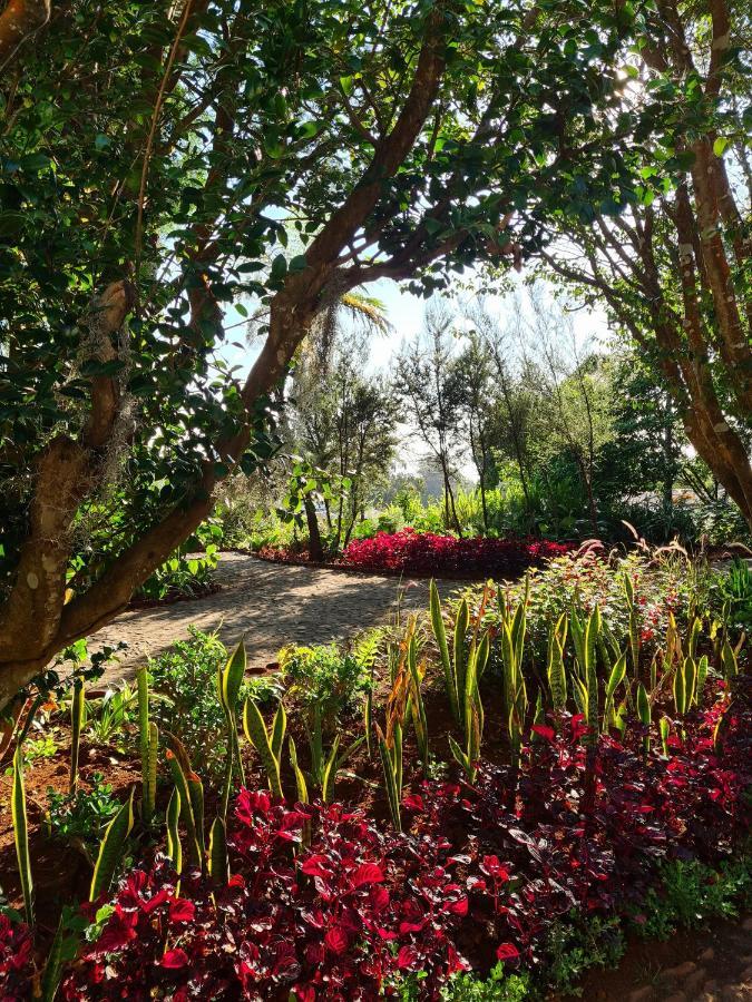 Farm stay Quinta Da Moscadinha *
